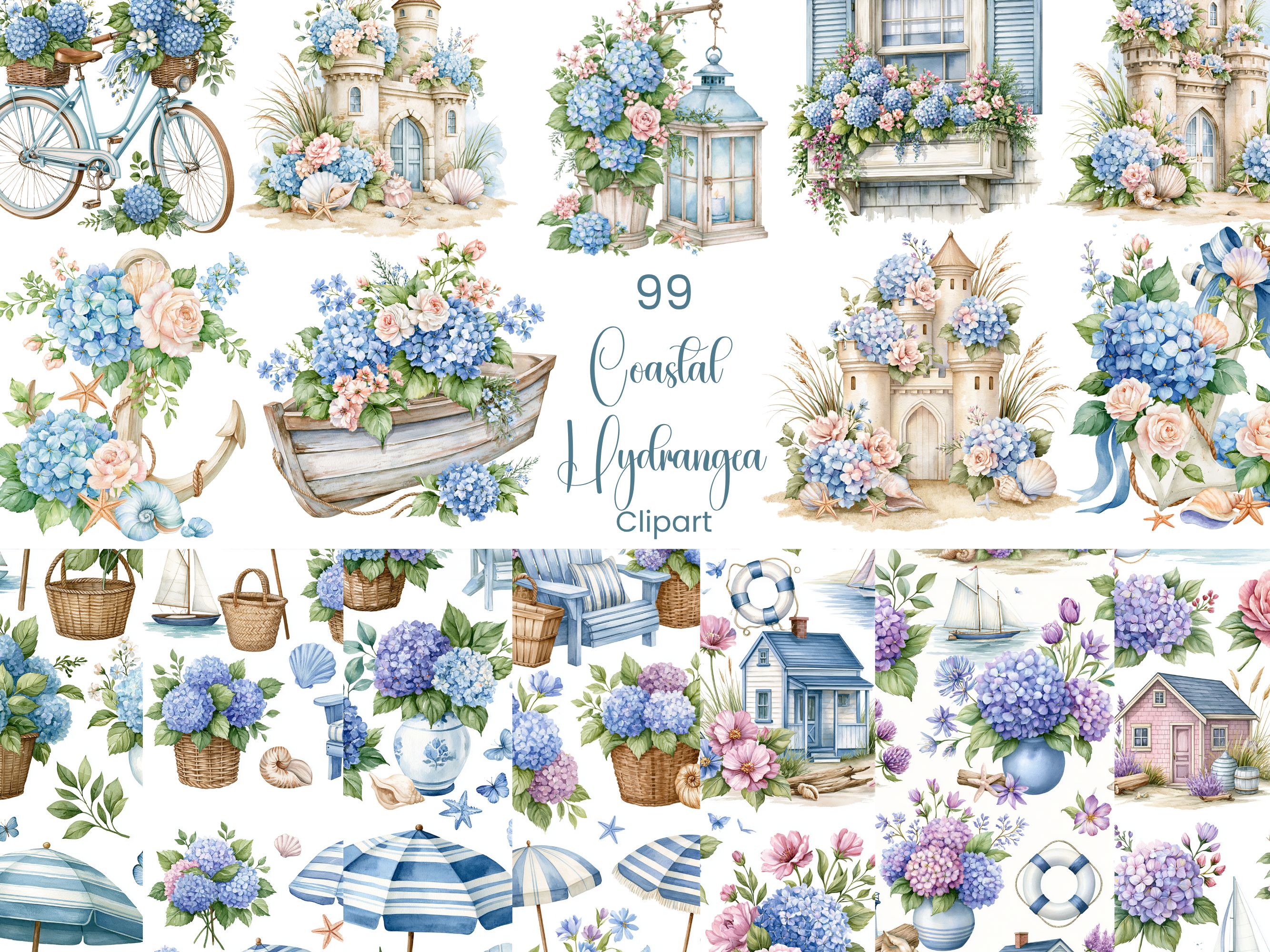 Coastal Hydrangea Clipart