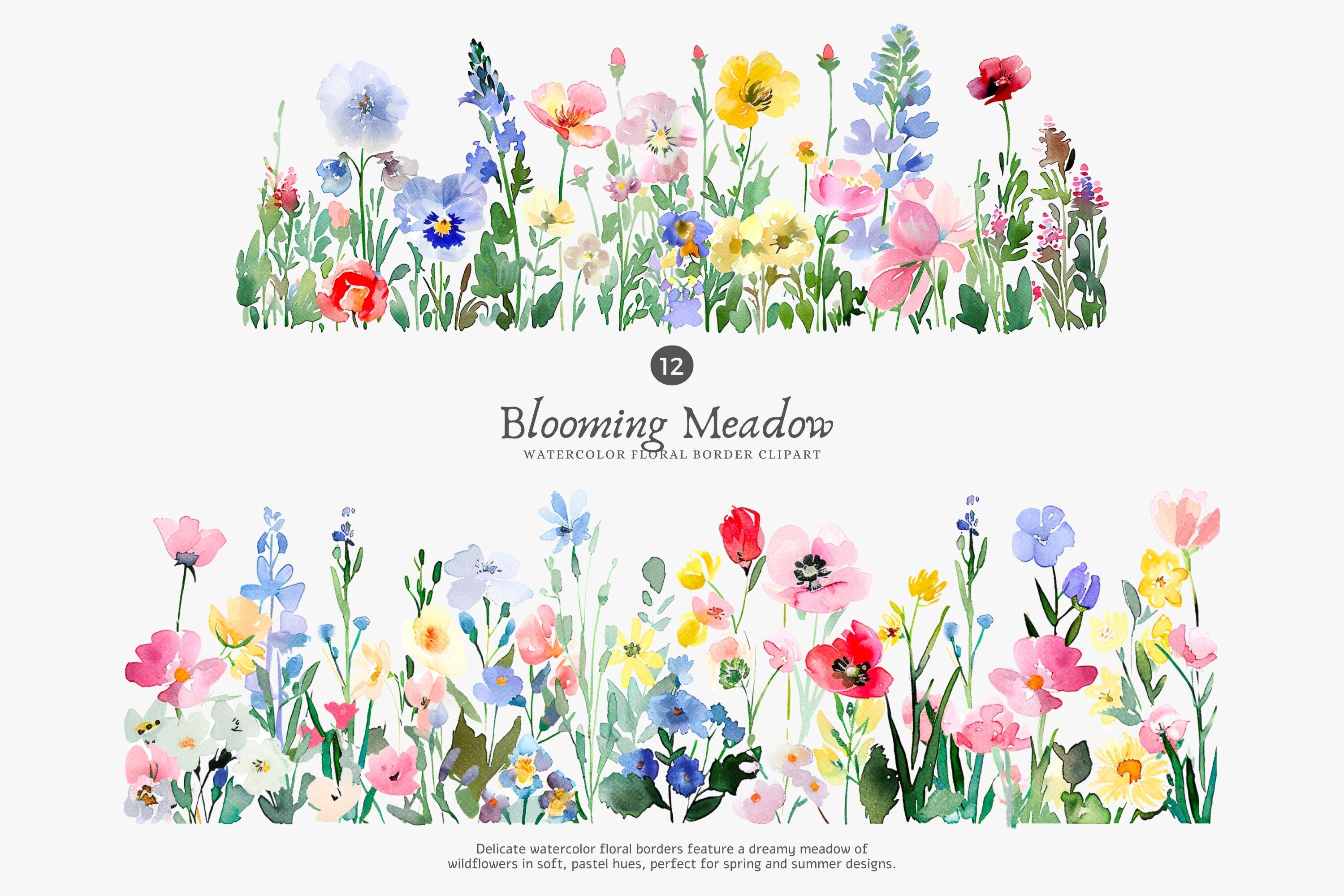 Watercolor Flowers Floral Border Set